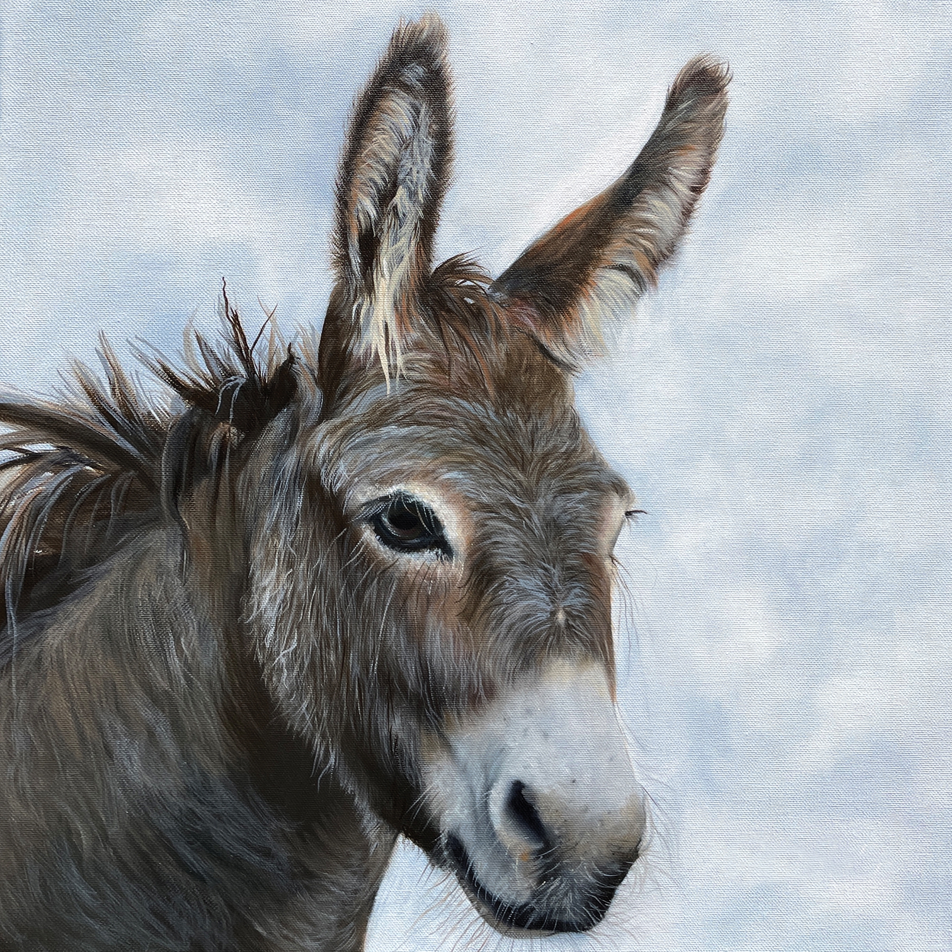Napkins 25x25 cm - Honkey the Donkey Napkin 25x25, Plain napkins