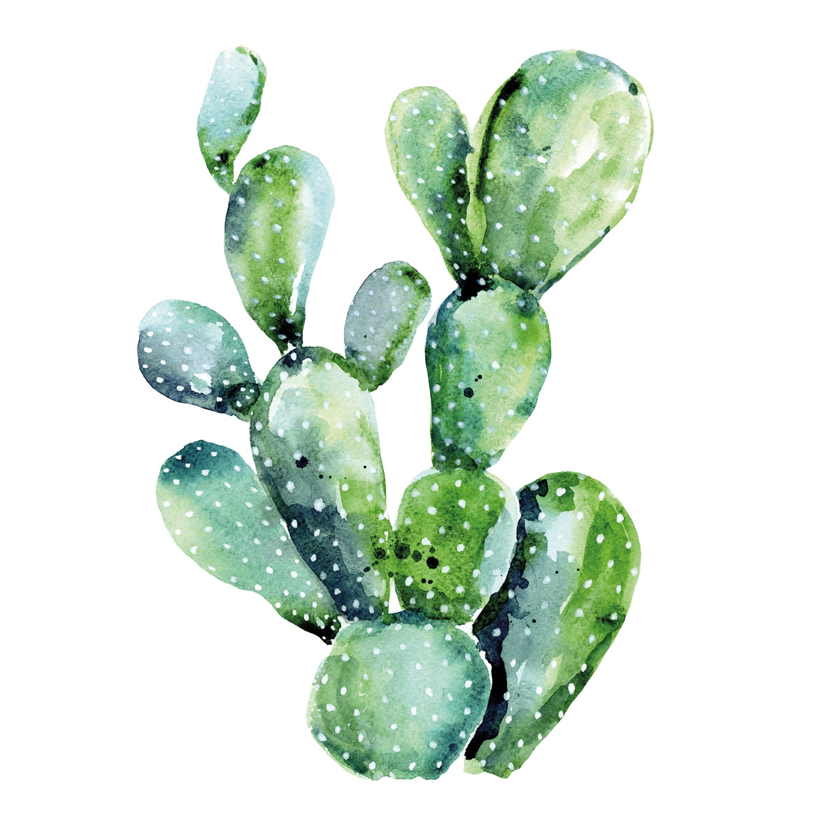 Napkins 25x25 cm - Cactus 25x25 cm, cactus, plants Napkins 25x25 cm - Cactus 25x25 cm