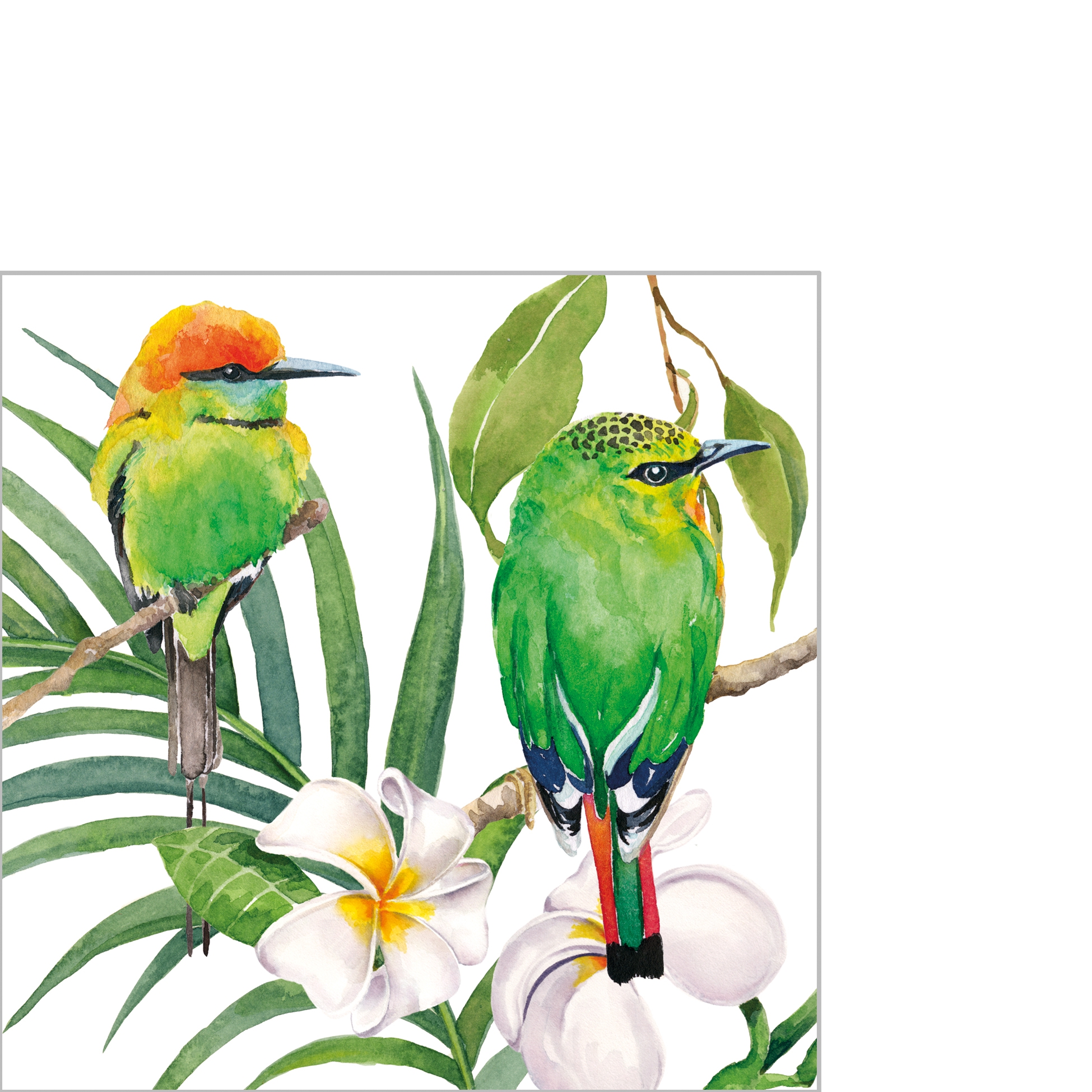 Servilletas 25x25 cm - Bali Napkin 25x25