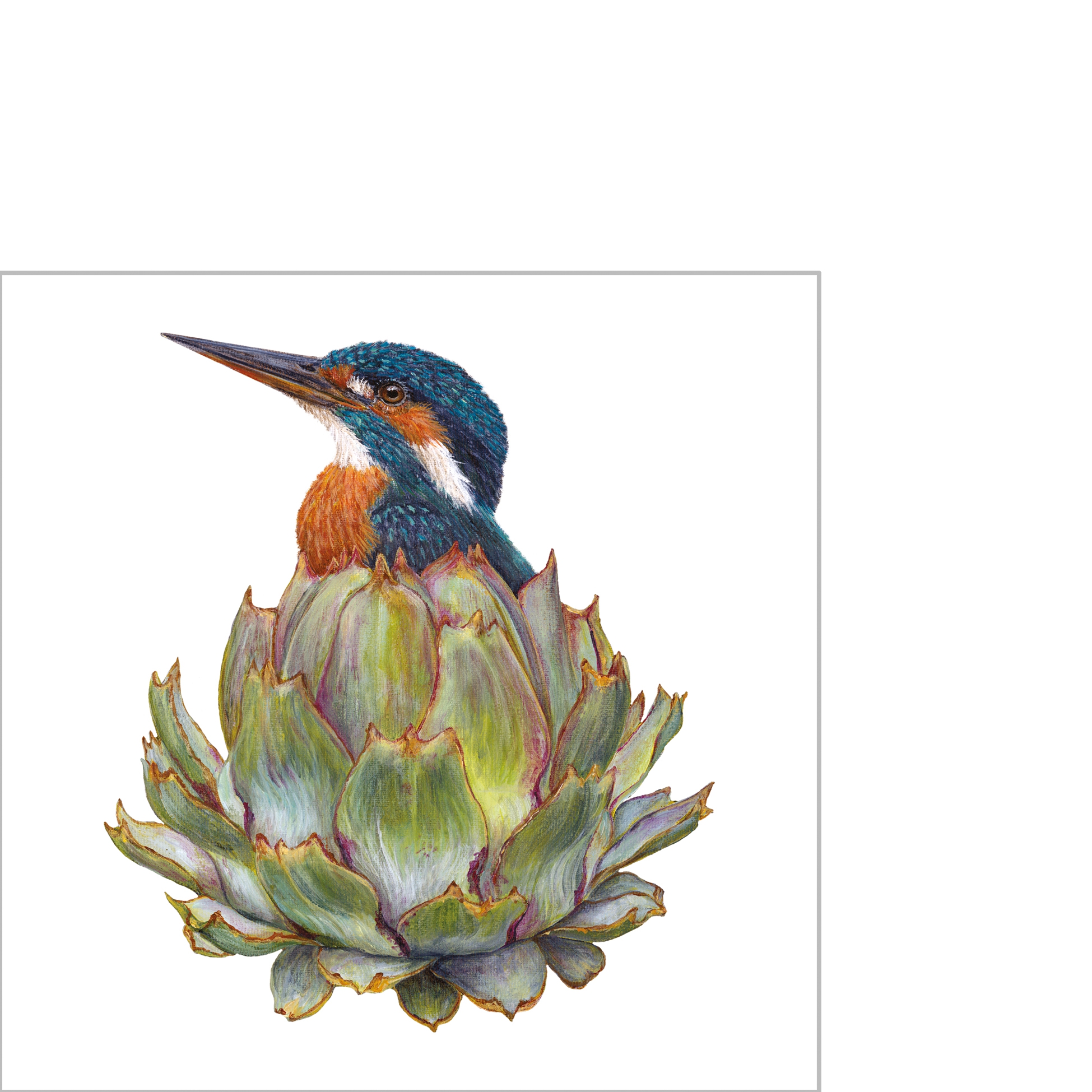 Guardanapos 25x25 cm - Aubrey Napkin 25x25, amaranto, planta, pássaros, animais Guardanapos 25x25 cm - Aubrey Napkin 25x25