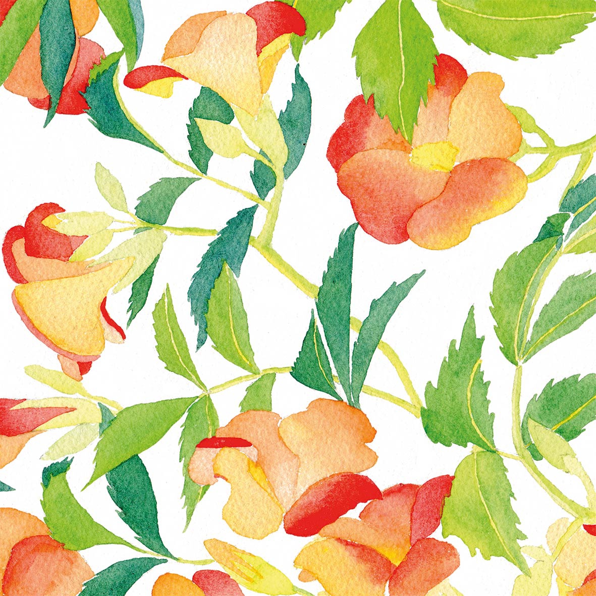 Servilletas 25x25 cm - Bégonia