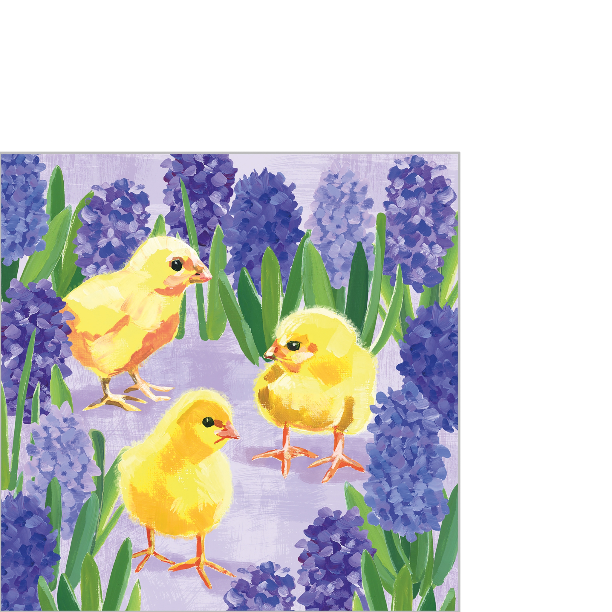 Guardanapos 25x25 cm - Chicks in Hyacinth Napkin 25x25, pintinho, jacintos, Galinhas, flores, animais Guardanapos 25x25 cm - Chicks in Hyacinth Napkin 25x25