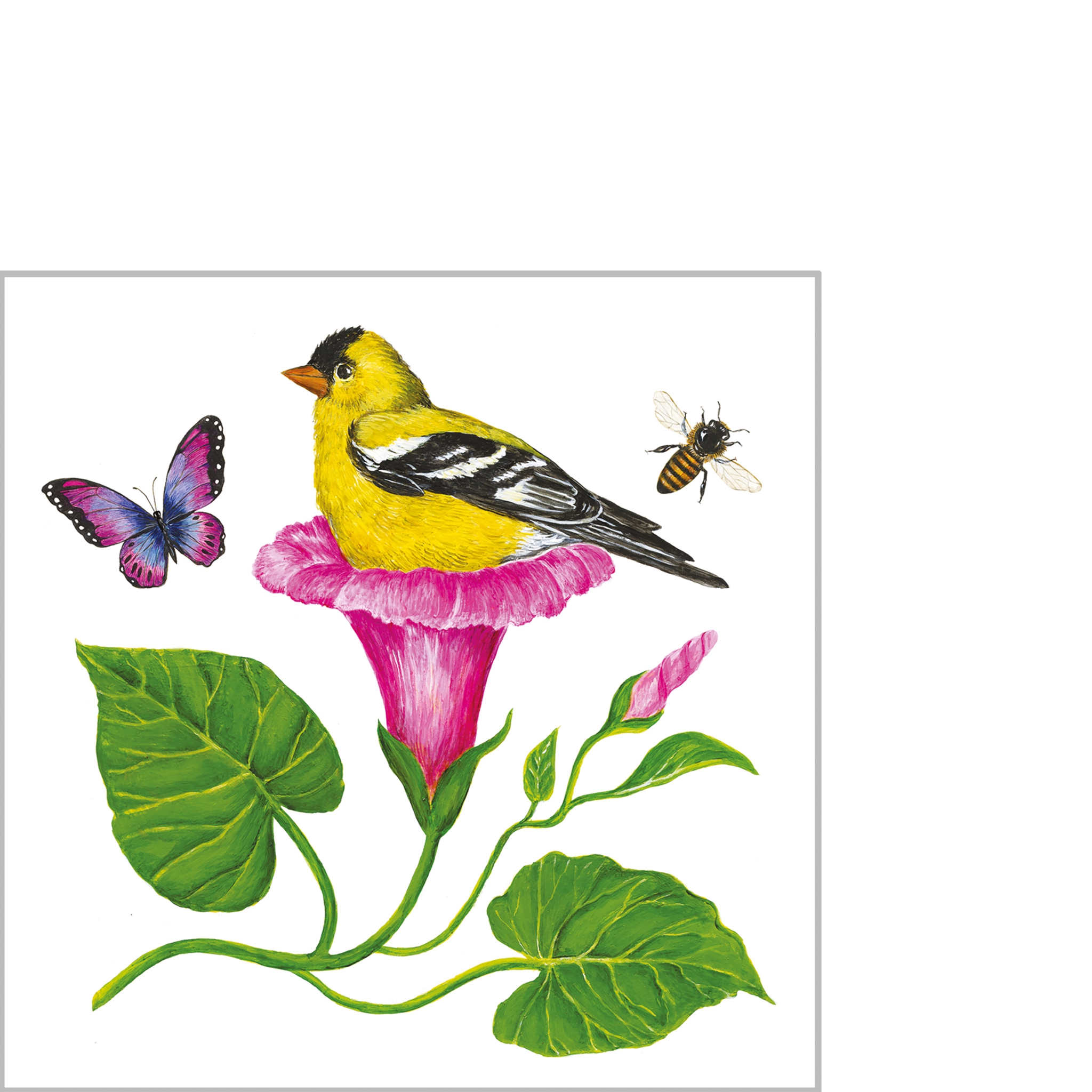 Servilletas 25x25 cm - Morning Glory Nest Napkin 25x25