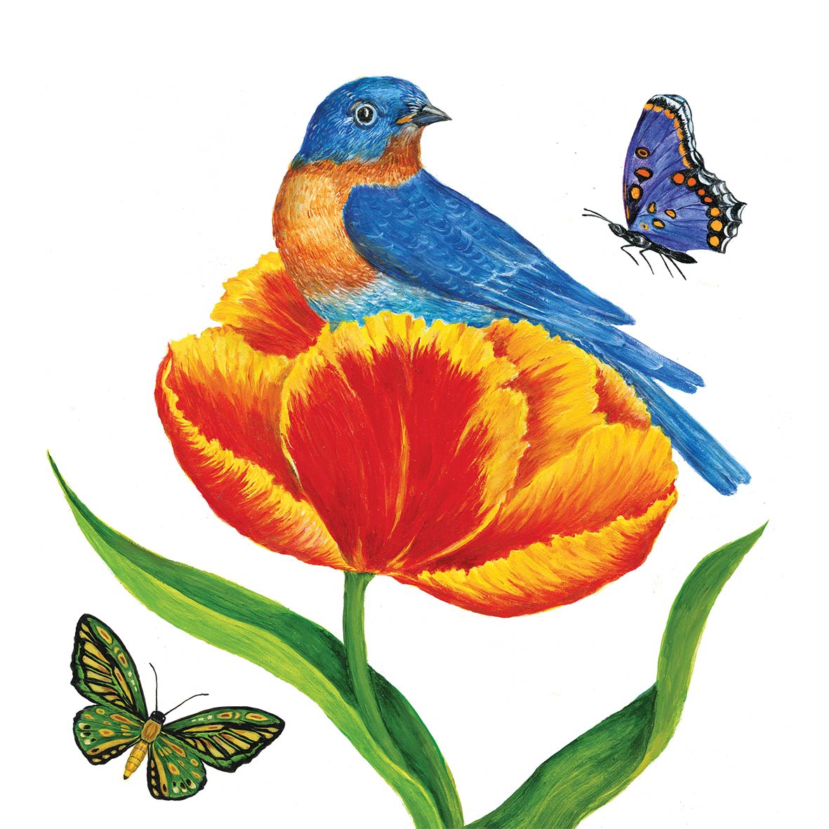 Servilletas 25x25 cm - Tulip Nest Napkin 25x25