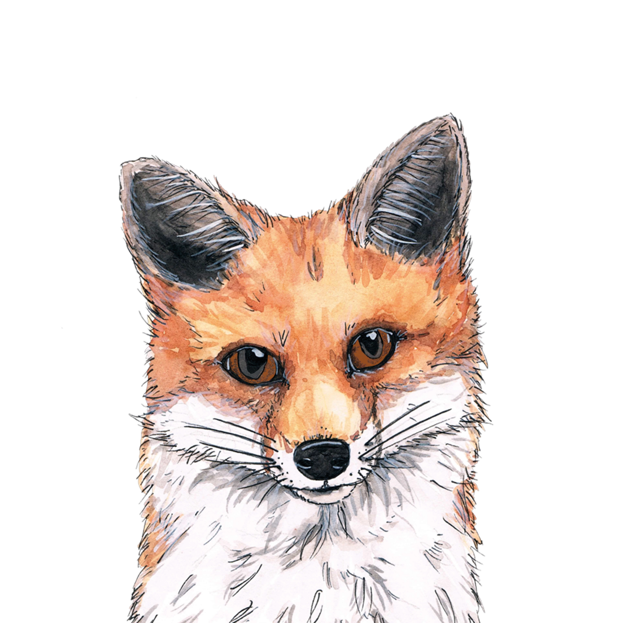 Servietten 25x25 cm - Fox Napkin 25x25
