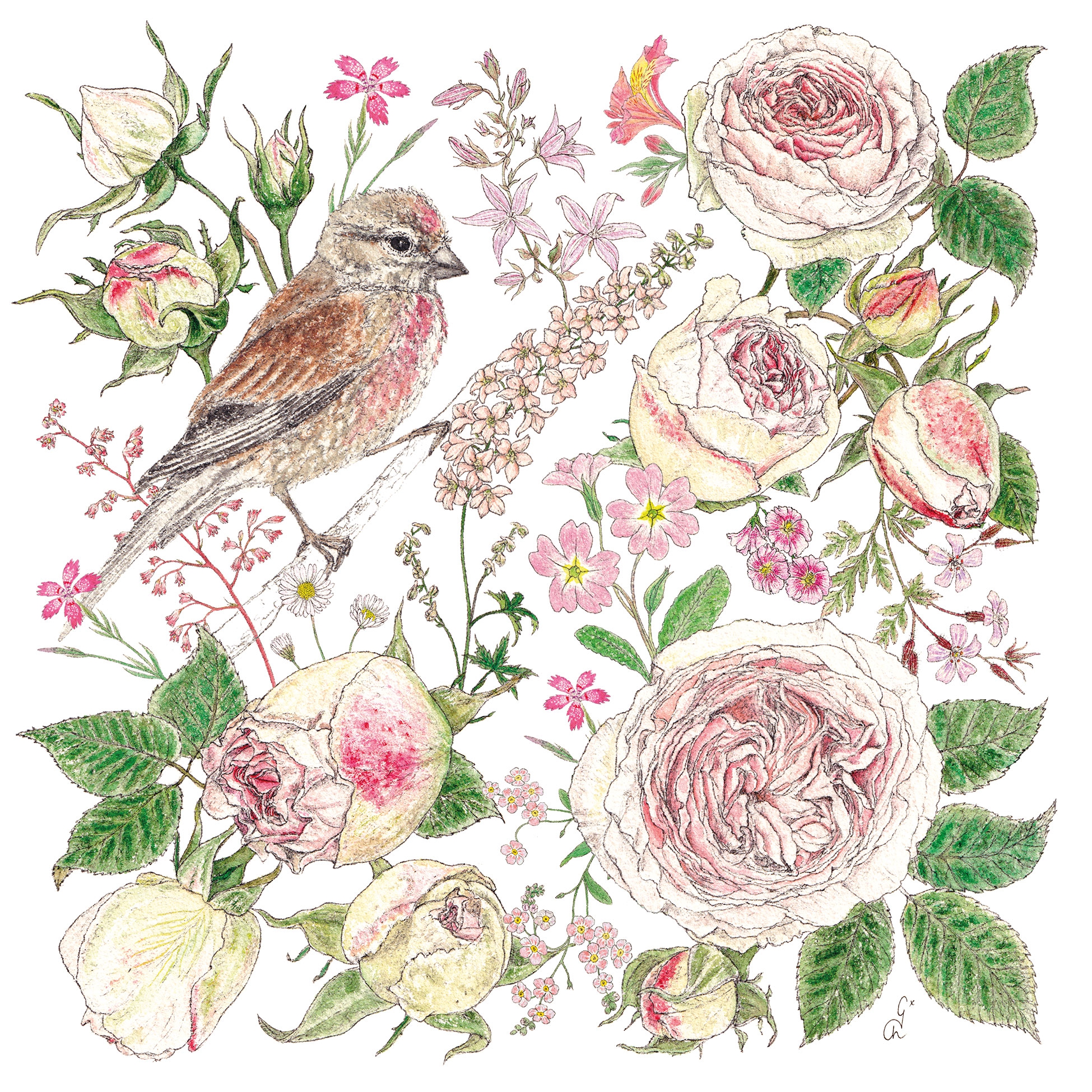 Tovaglioli 33x33 cm - La vie en rose Napkin, Rose,  uccelli,  vintage,  fiori,  animali