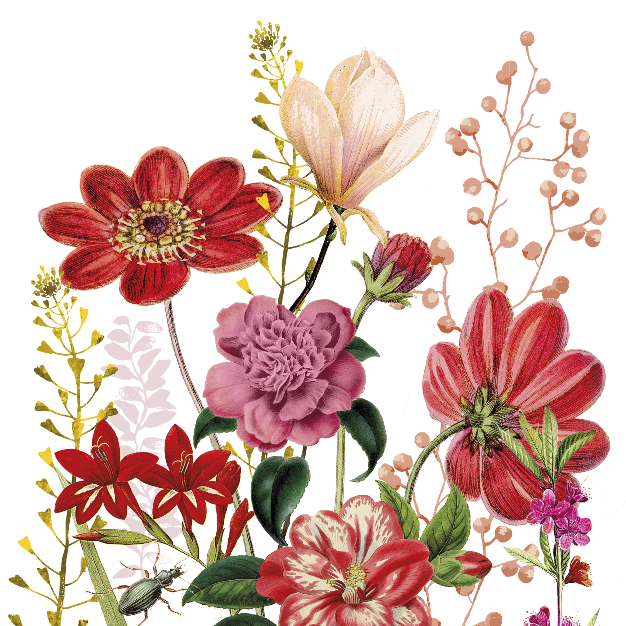 Serwetki 33x33 cm - Floria Napkin, Kwiaty,  las,  ??ki