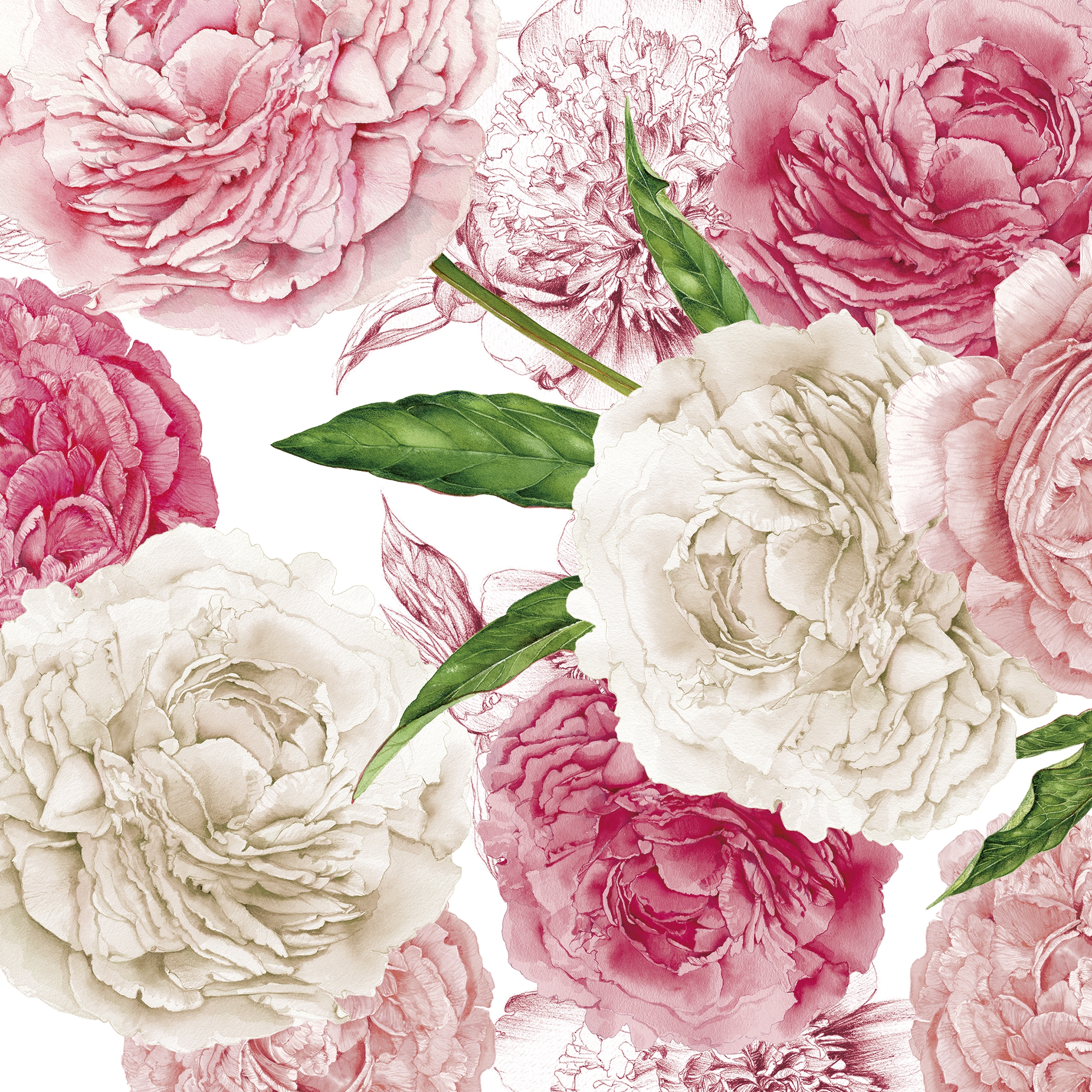 Tovaglioli 33x33 cm - Peonies Napkin, Peonie,  rose,  fiori