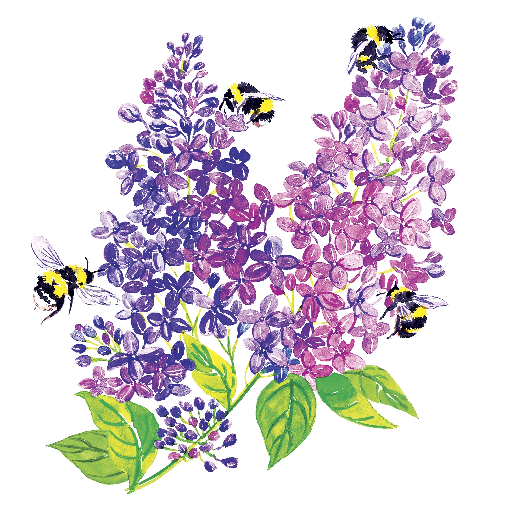 Servietten 33x33 cm - All Abuzz Napkin