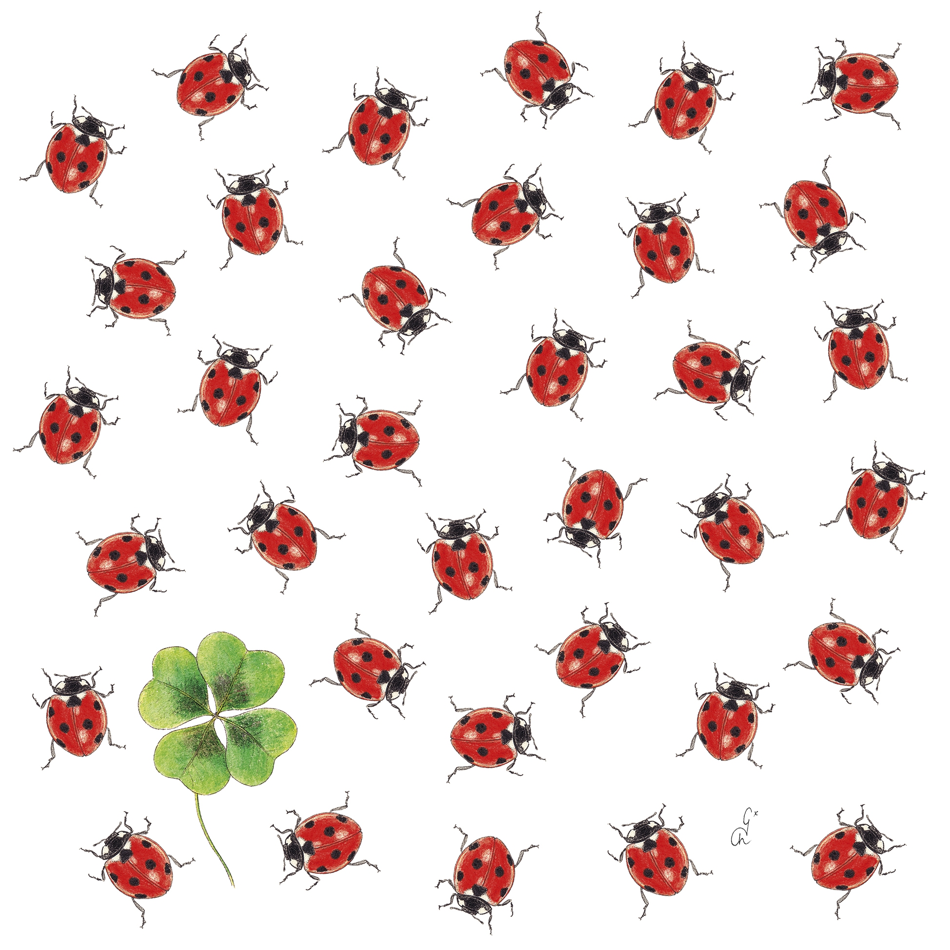 Serwetki 33x33 cm - Bugs Napkin, Szcz??liwy urok,  Koniczyna,  Biedronka,  Ro?liny,  Zwierz?ta