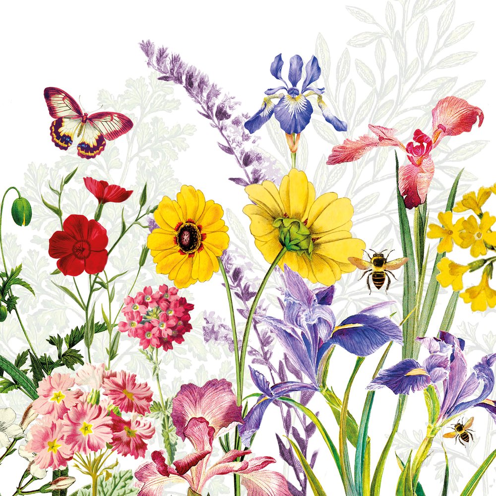 Servilletas 33x33 cm - Imagination