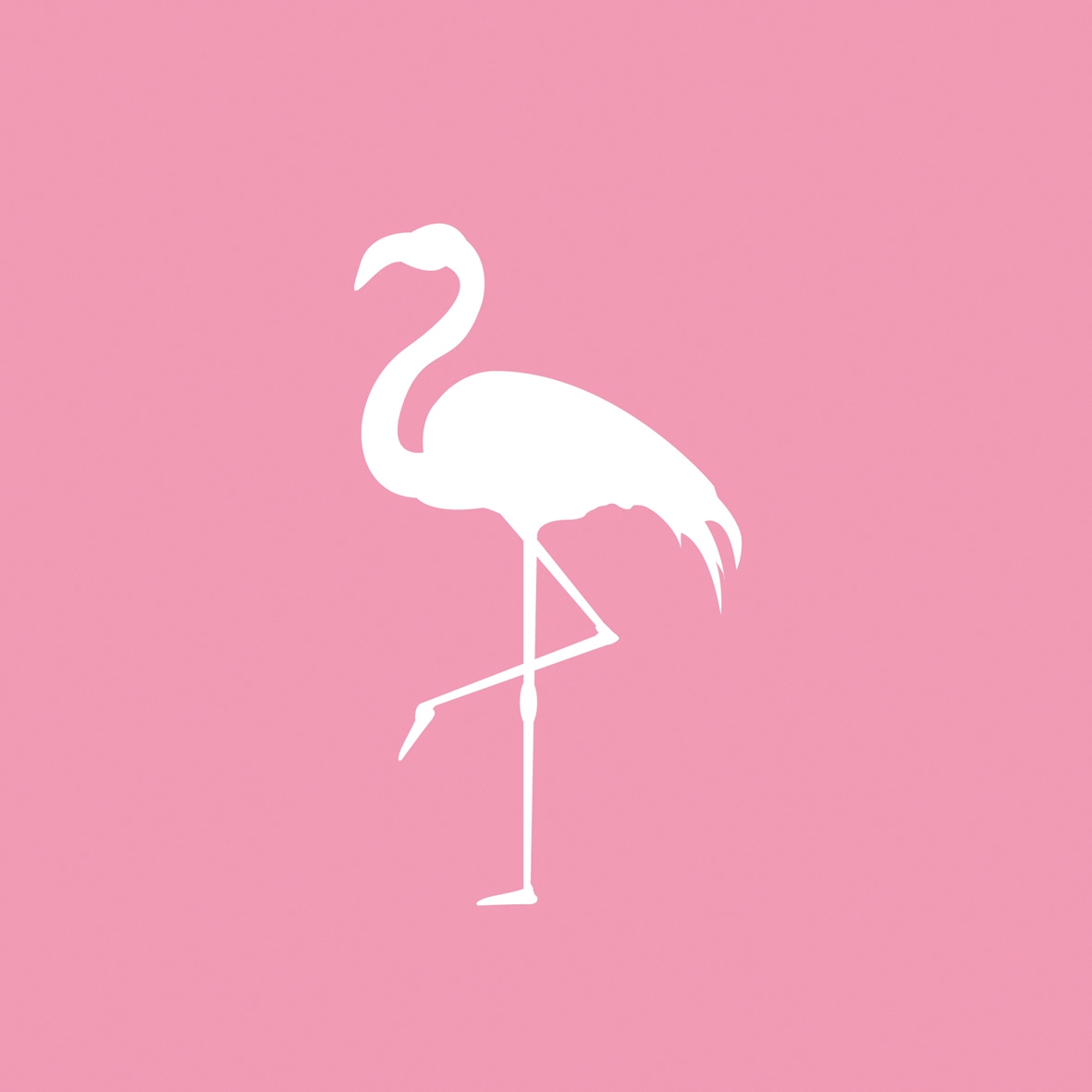 Servietten 33x33 cm - Pink Flamingo, Flamingo, Vögel, Tiere Servietten 33x33 cm - Pink Flamingo