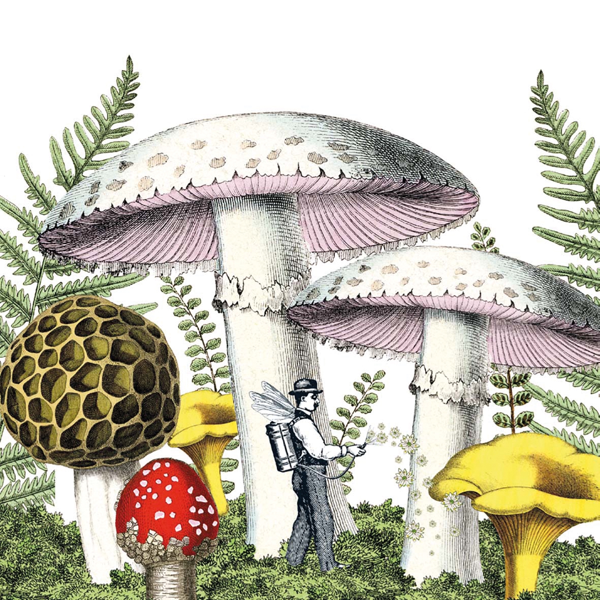 Servilletas 33x33 cm - Mushrooms Napkin 33x33