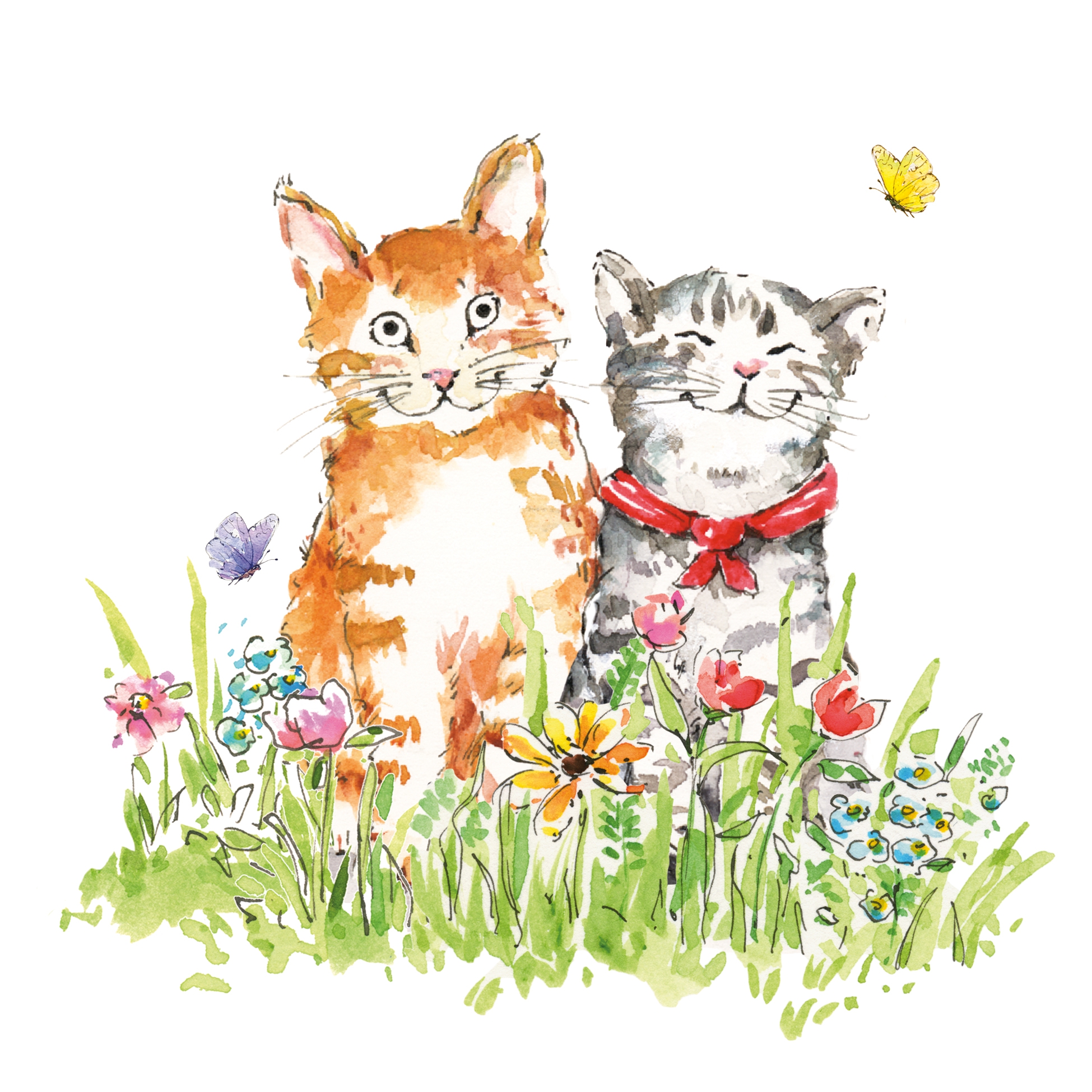 Servilletas 33x33 cm - O´Malley & Friend