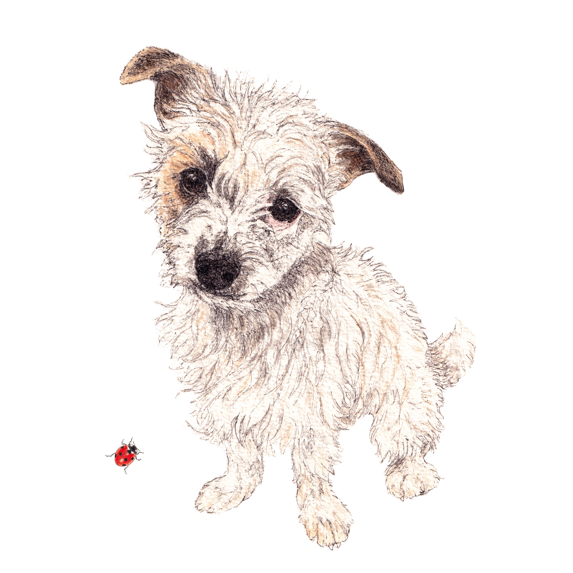 Napkins 33x33 cm - Omelette Napkin 33x33