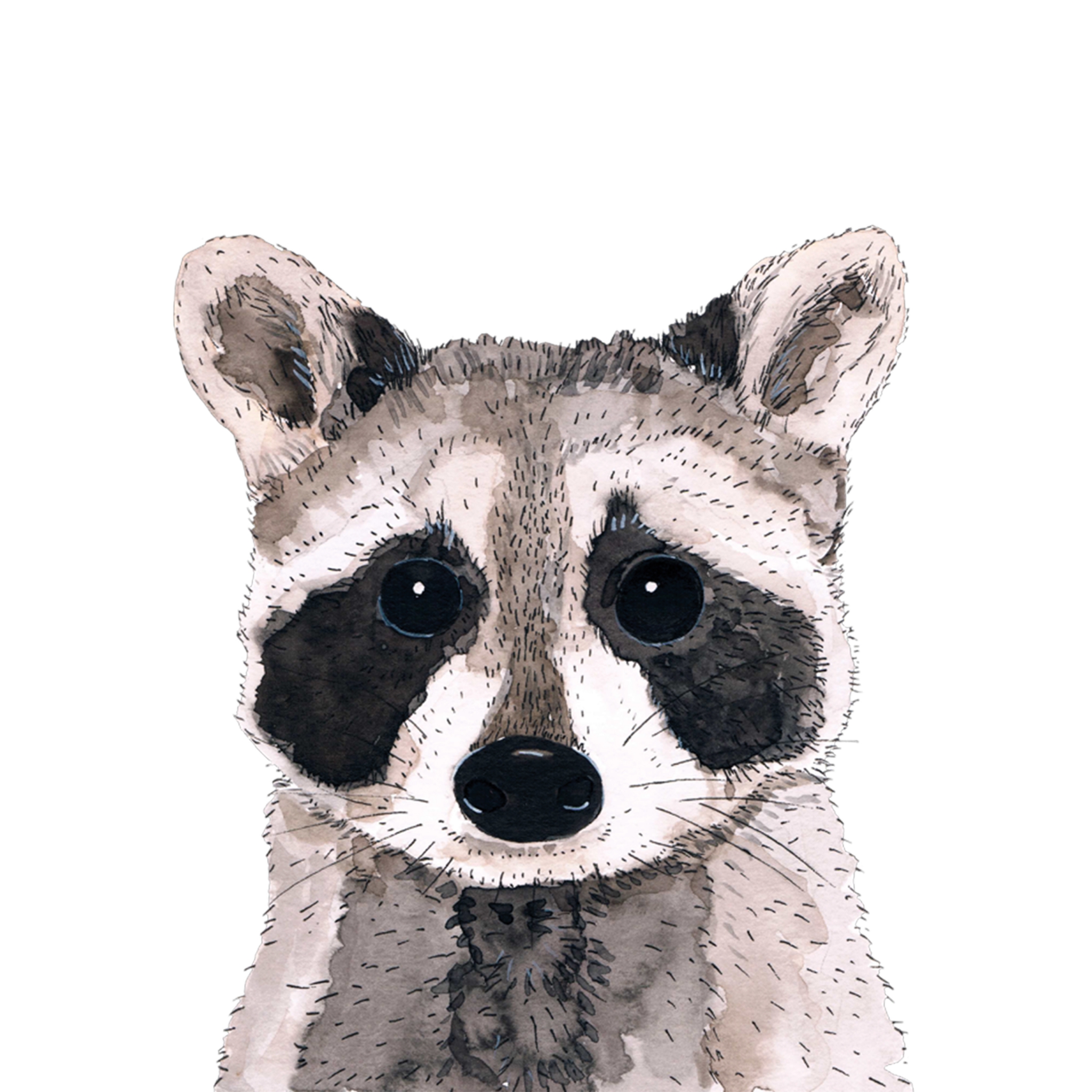 Servietten 33x33 cm - Raccoon Napkin 33x33