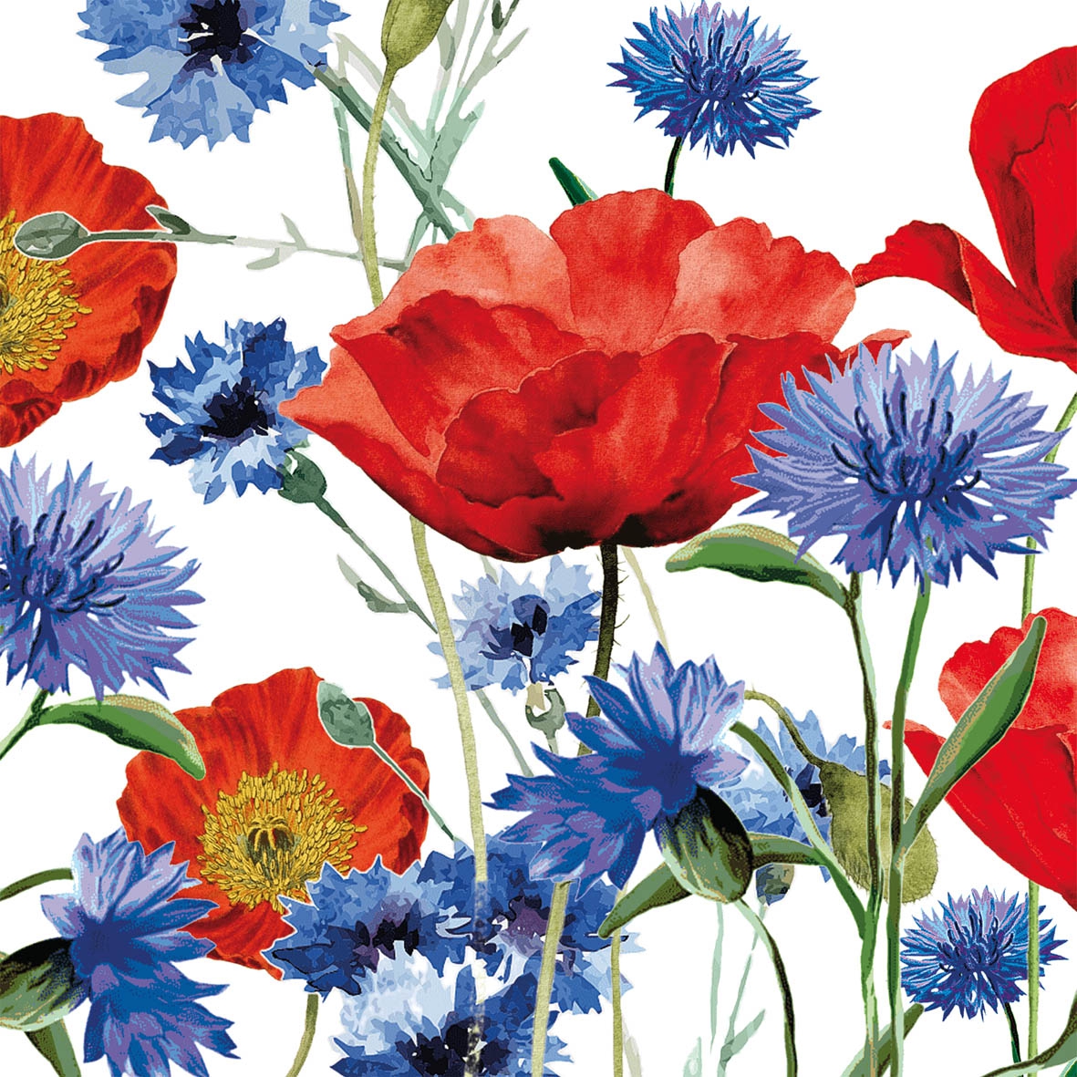 Serviettes 33x33 cm - Summer Field Napkin, Bleuets,  coquelicots,  pavots,  fleurs