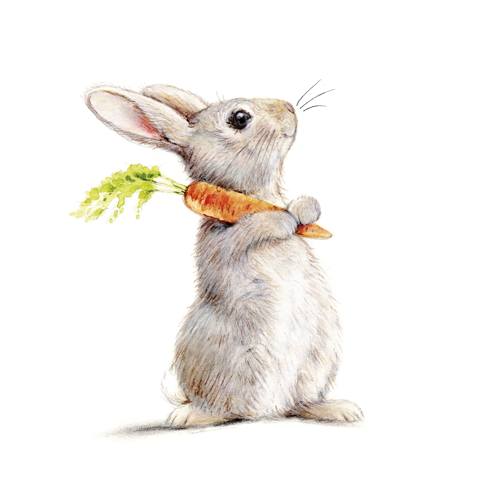 餐巾33x33厘米 - Rabbit & Carrot Napkin, ?????,  ??,  ???,  ???,  ??,  ??,  ???