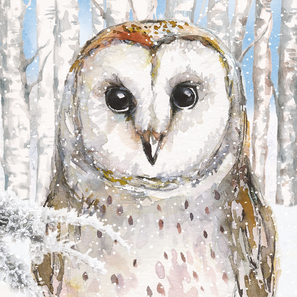 Servilletas 25x25 cm - Emma 25x25 cm