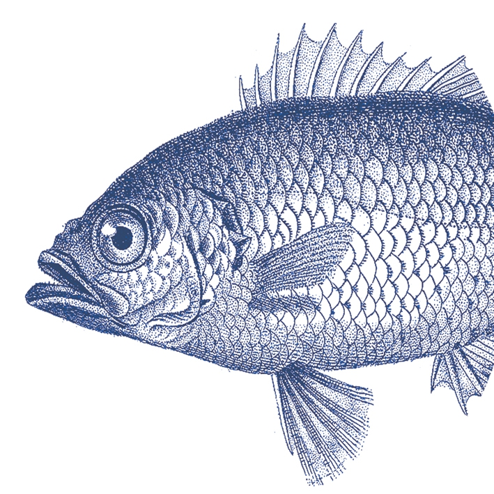 Servietten 33x33 cm - Fish marine, Meer,  Strand