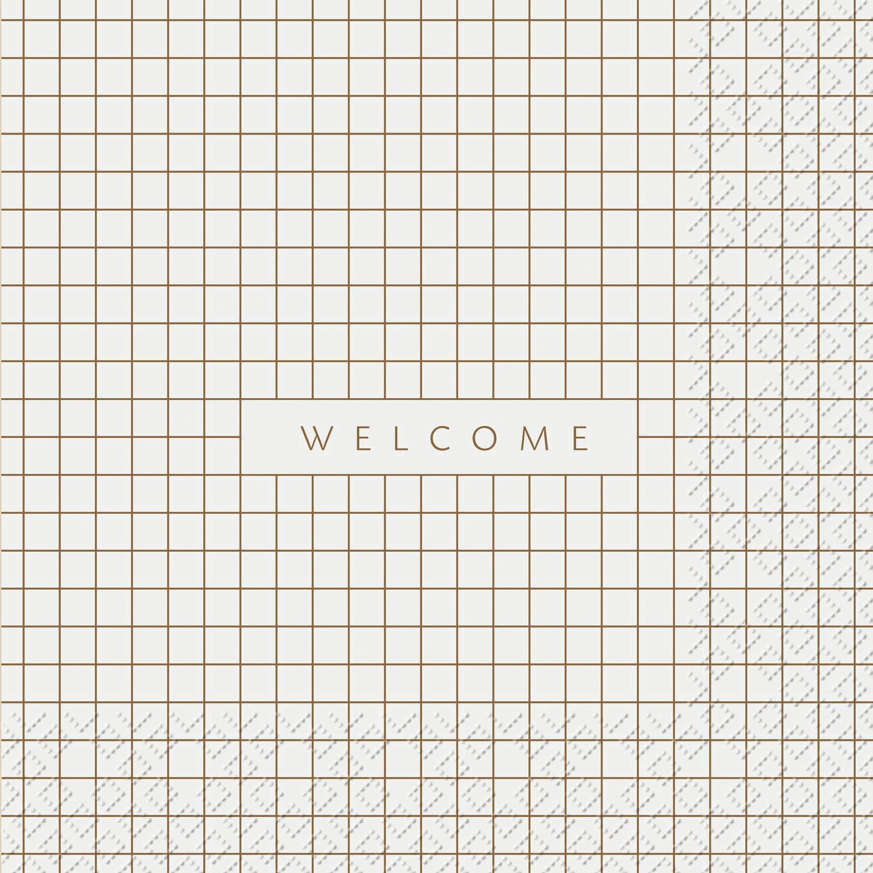 Servilletas 33x33 cm - Ludos