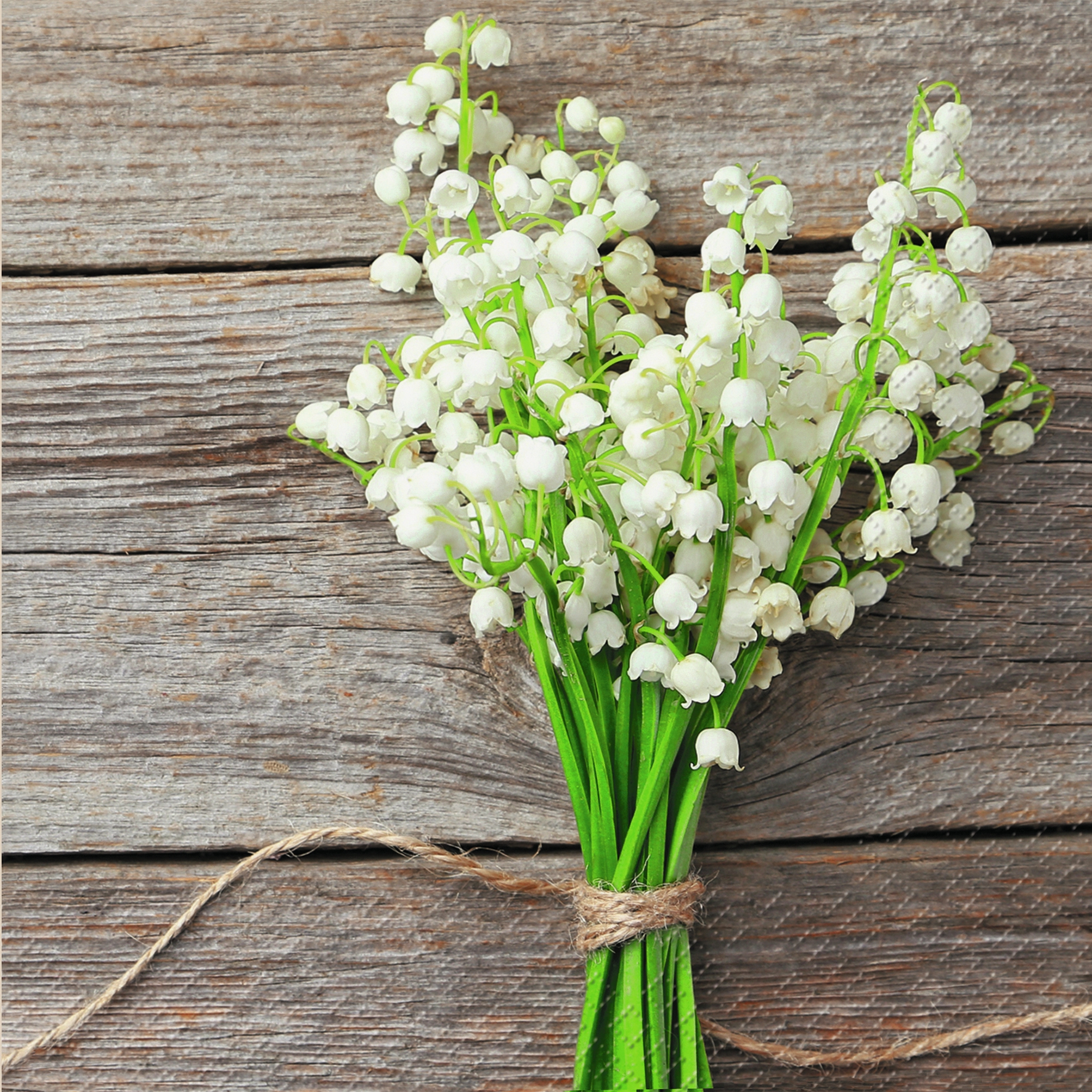 Napkins 33x33 cm - Mady, lily of the valley, flowers Napkins 33x33 cm - Mady