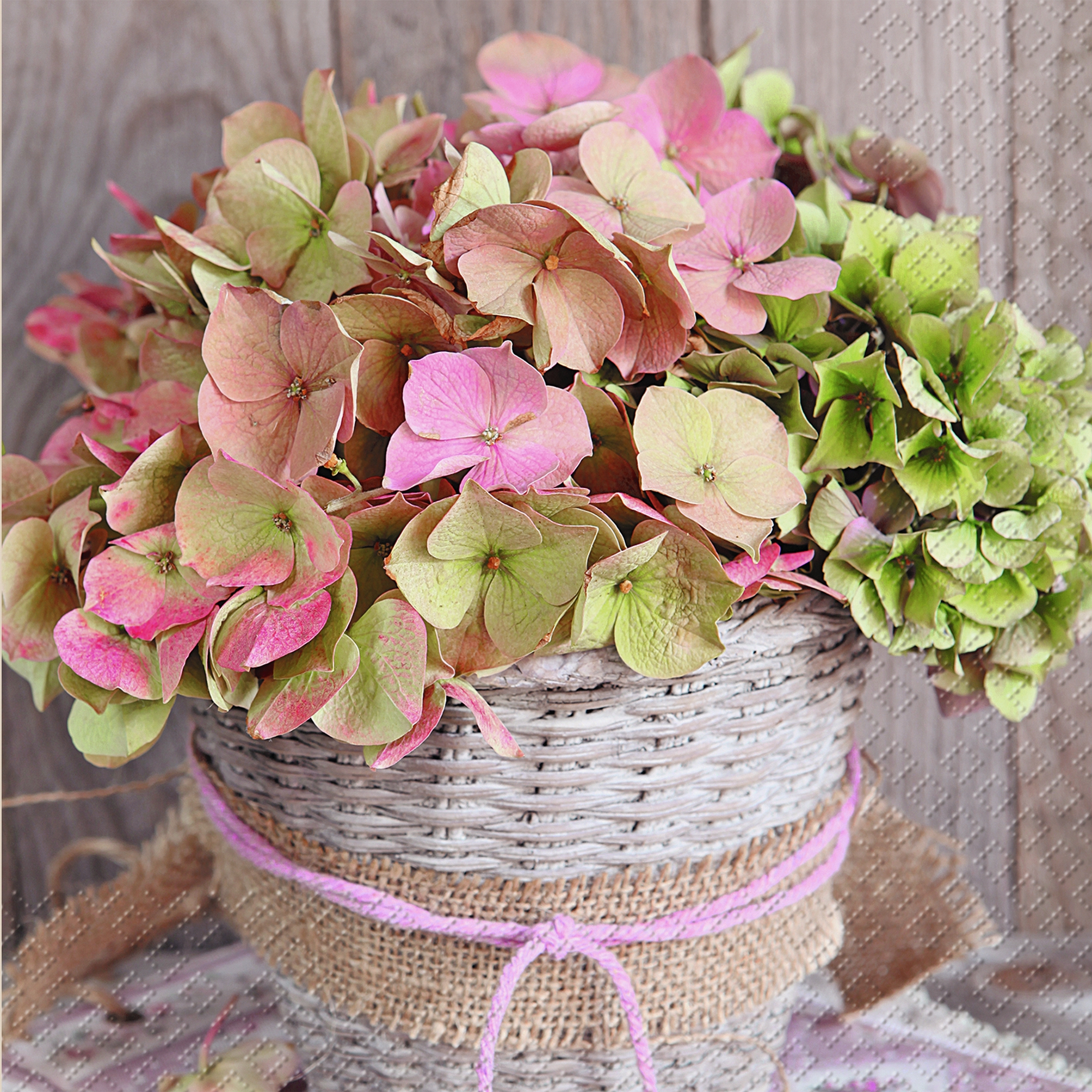 Servilletas 33x33 cm - Erla