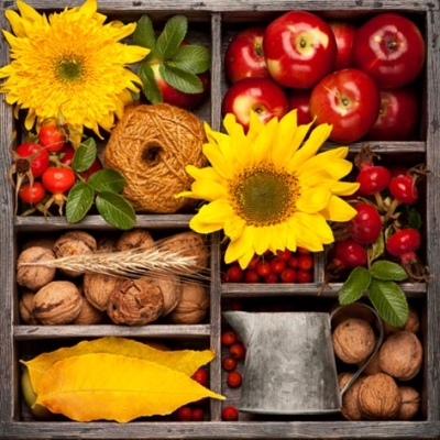 Servietten 24x24 cm - Autumn Composition