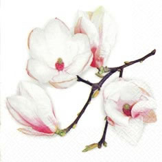Napkins 24x24 cm - White Magnolia white