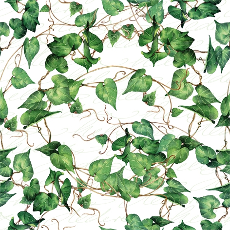 Servilletas 24x24 cm - Green Ivy Branches, Hiedra,  plantas