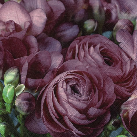 Servietten 33x33 cm - Freesia & Persian Buttercup burgundy, Rosen,  Blumen