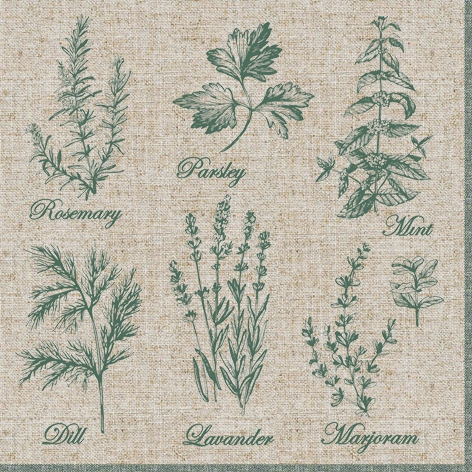 Servilletas 33x33 cm - Fragrant Herbs