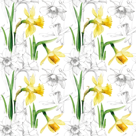 Napkins 33x33 cm - Narcissus Sketch